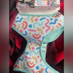 Dog harness and leash matching set